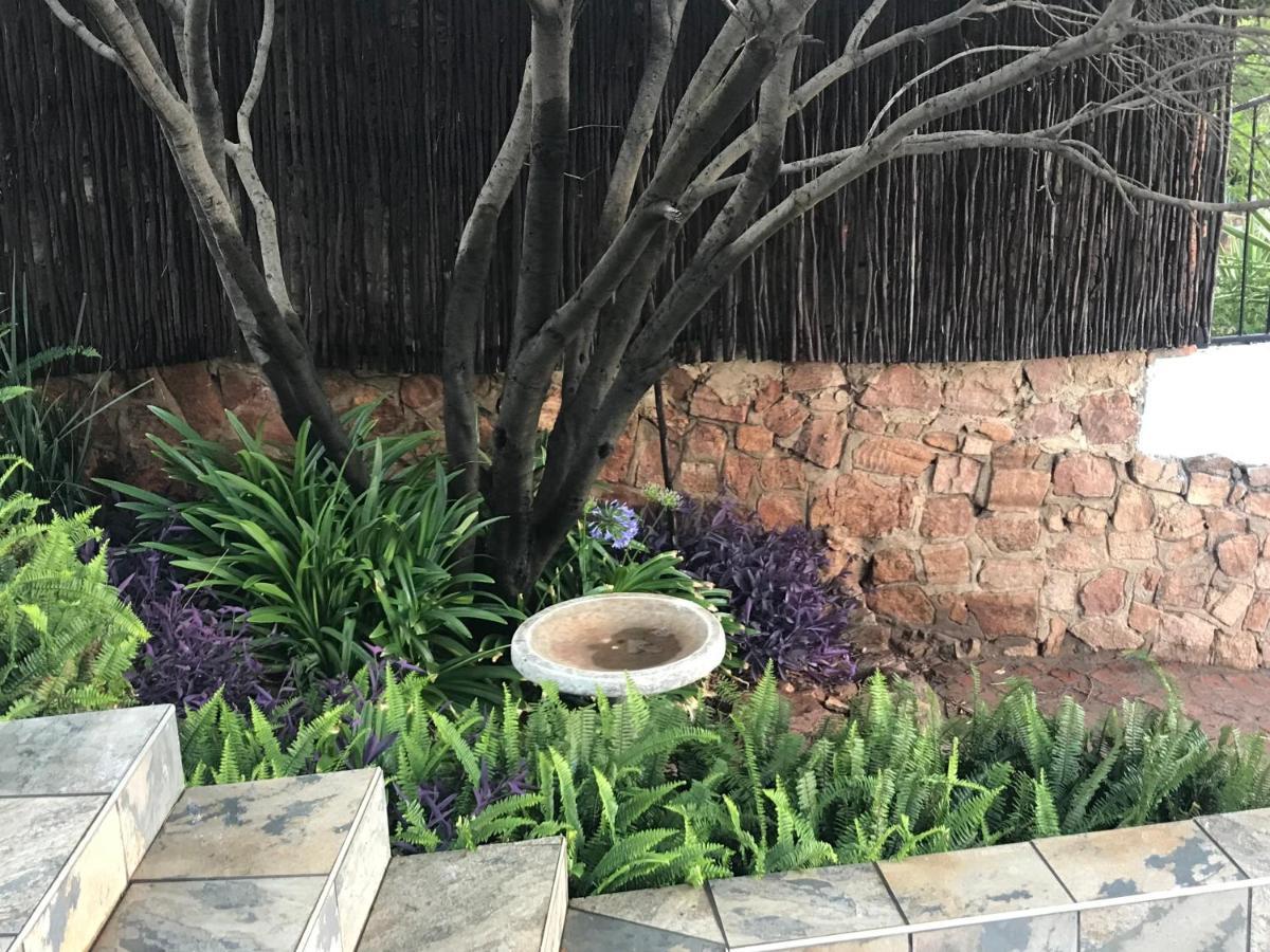 Bokamoso Views Bed and Breakfast Ράστενμπεργκ Εξωτερικό φωτογραφία